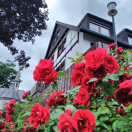 Am Schloss 3* Neuandreasberg