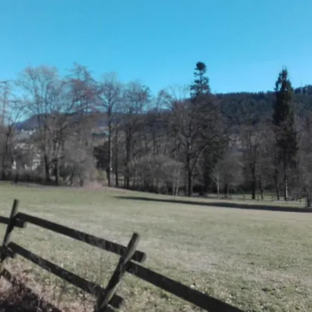 Am Schloss Andreasberg