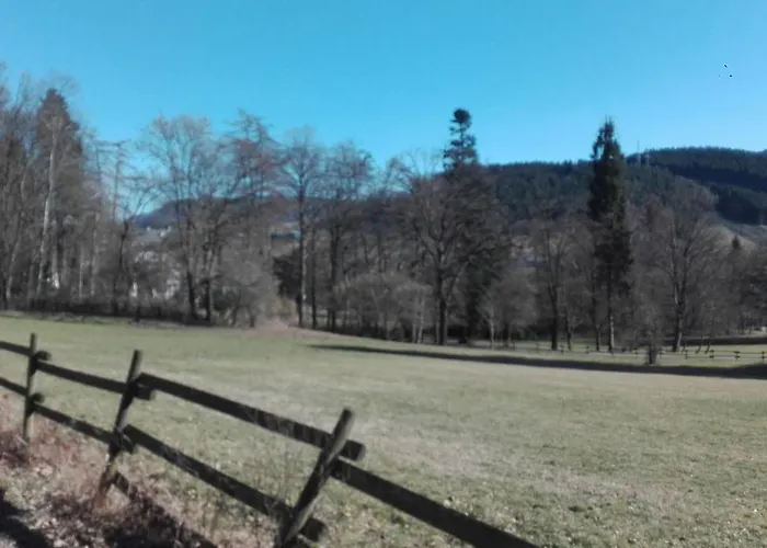 Am Schloss Andreasberg